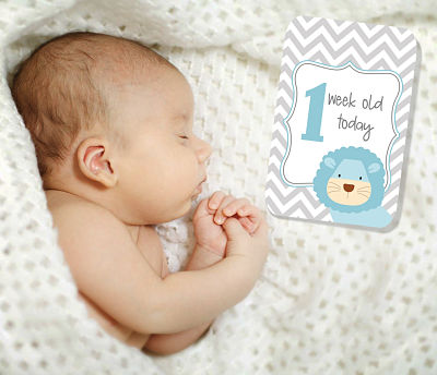 Chevron Jungle Blue Baby Milestone Cards